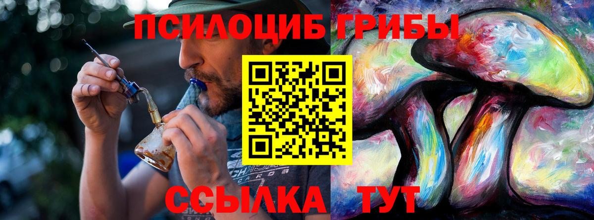 даркнет сайт  Псилоцибиновые грибы Psilocybine cubensis  Вход с VPN  Красногорск 