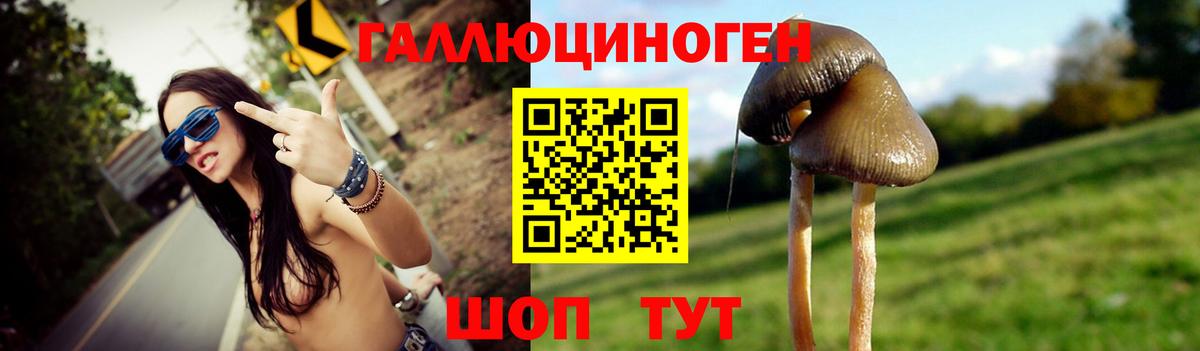 Галлюциногенные грибы мицелий Красногорск